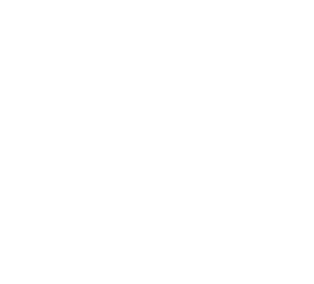 white-background white-background